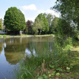Etang fédéral des Evoïches à Marchiennes