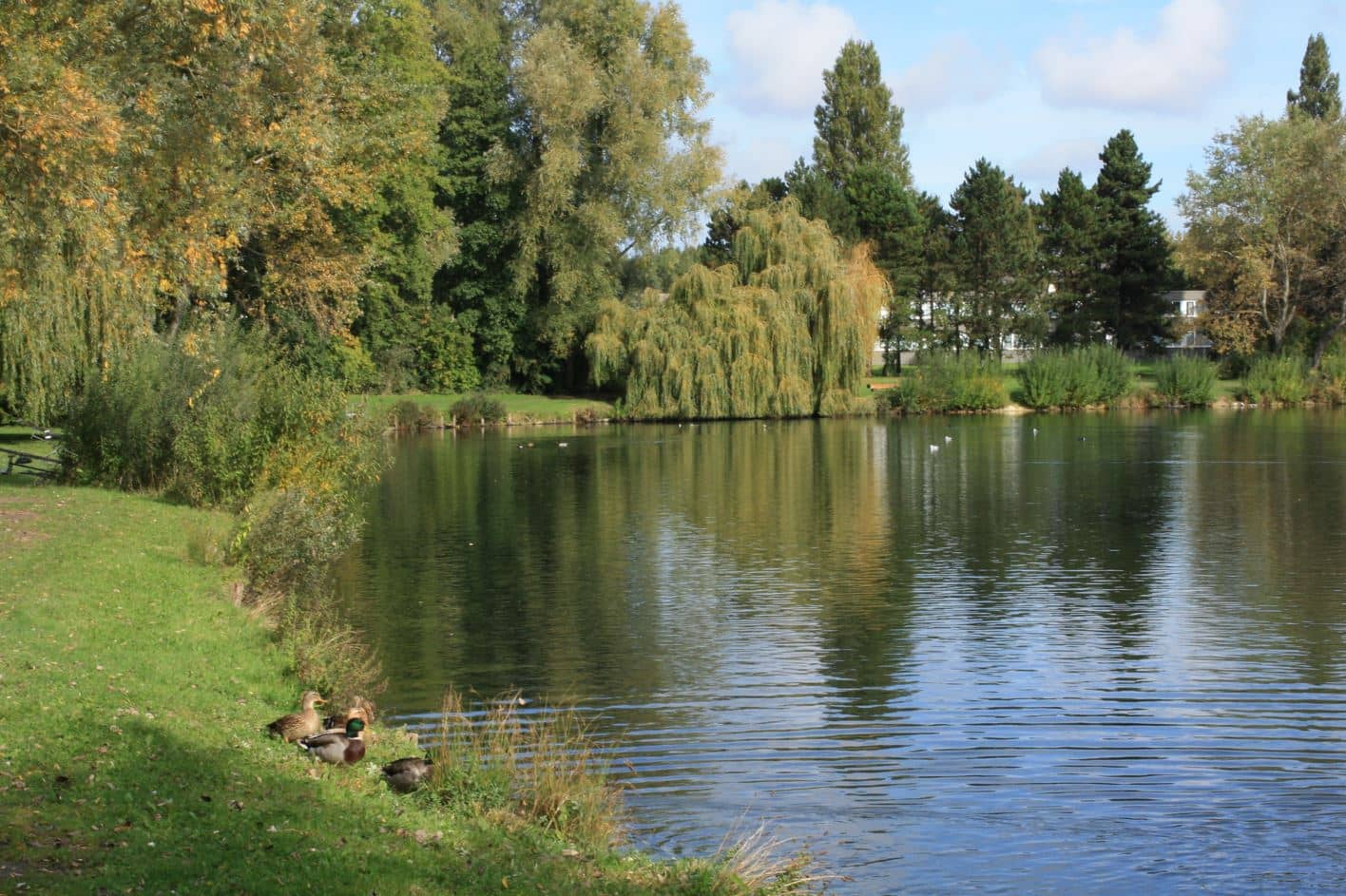 Lac D Armbouts Cappel Armbouts Cappel Nord P che59