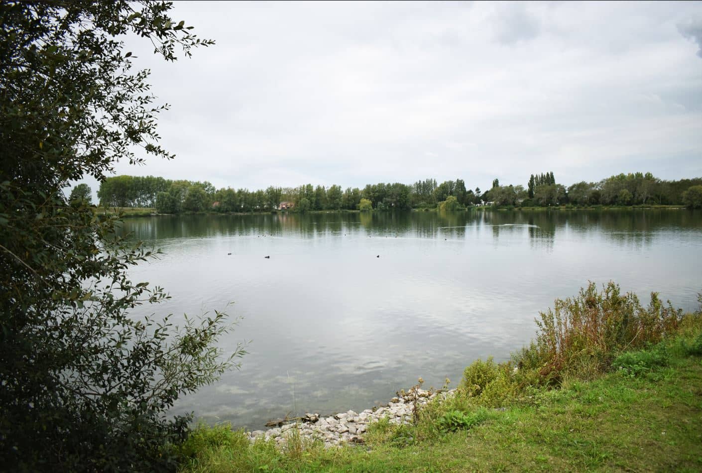 Lac D Armbouts Cappel Armbouts Cappel Nord P che59