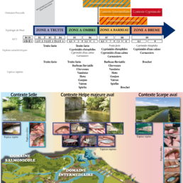 zones PDPG