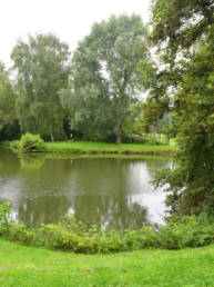 Étang Genech 1